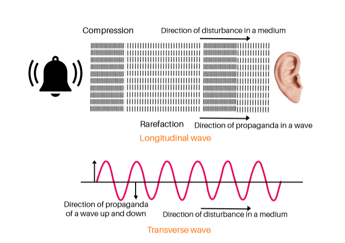 Transverse Wave vs Longitudinal Wave
