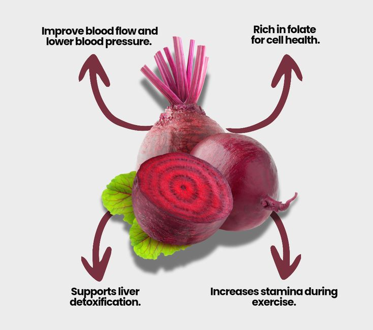 2nd heart of body 