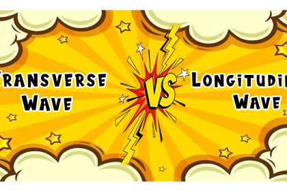Transverse Wave vs Longitudinal Wave