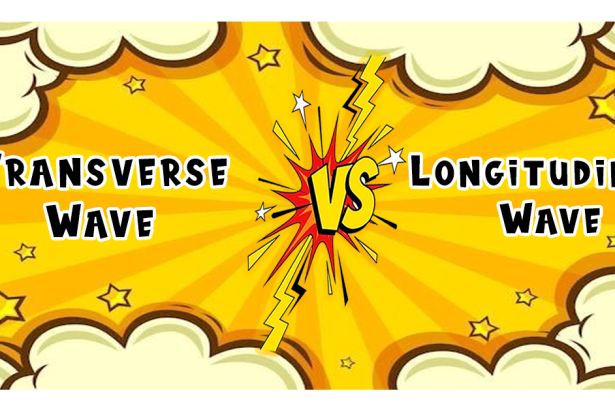 Transverse Wave vs Longitudinal Wave